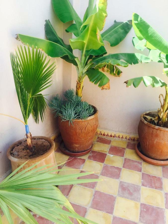 Riad Haylana Marrakesh Extérieur photo